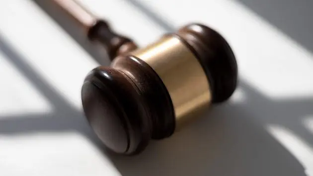 judges-traditional-wooden-gavel-on-white-background-shadow-detail-2