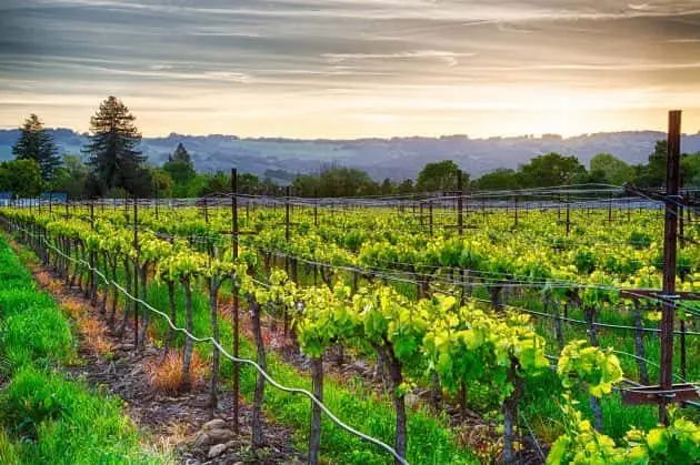 sonoma-county-winery-e1554996326376