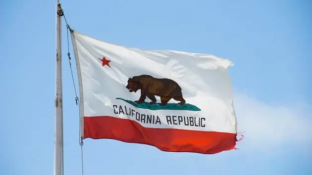 low-angle-view-of-california-flag-against-clear-sky-2