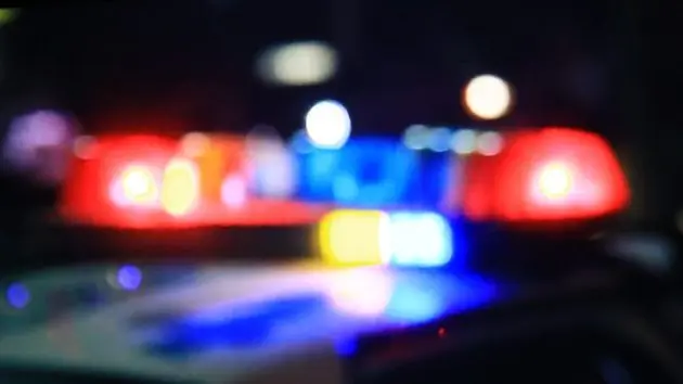 police-car-9