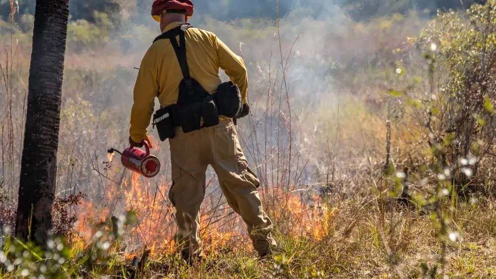 afirefighterstartsafiretoserveasafirebreak