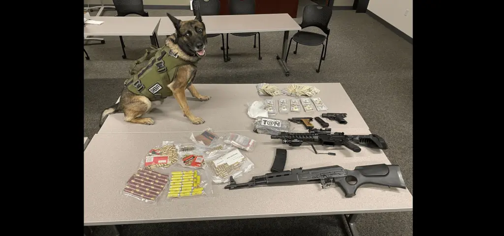 k-9-deputy-duke-next-to-items-confiscated-from-tyler-miles-and-jose-rojas-nunes-santa-rosa-police