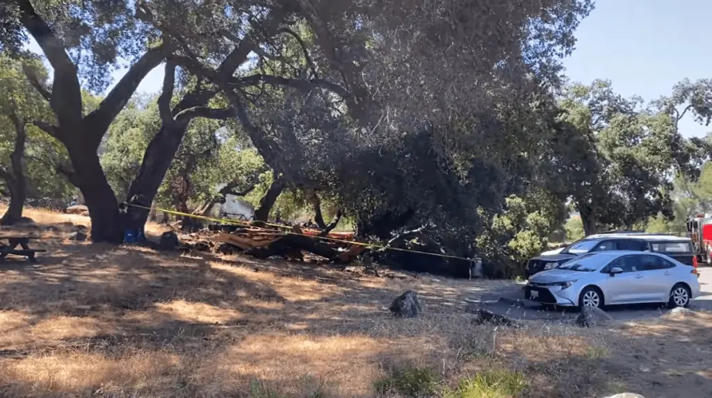 fallen-tree-limb-in-spring-lake-park-7-15-23-santa-rosa-fire-department