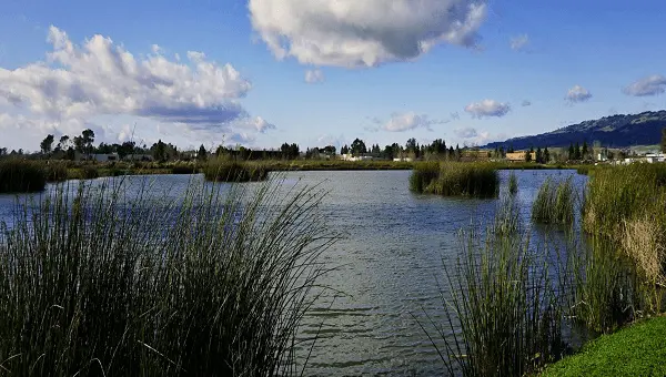 shollenberger-park-city-of-petaluma