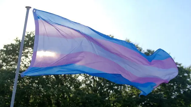 transgender-flag