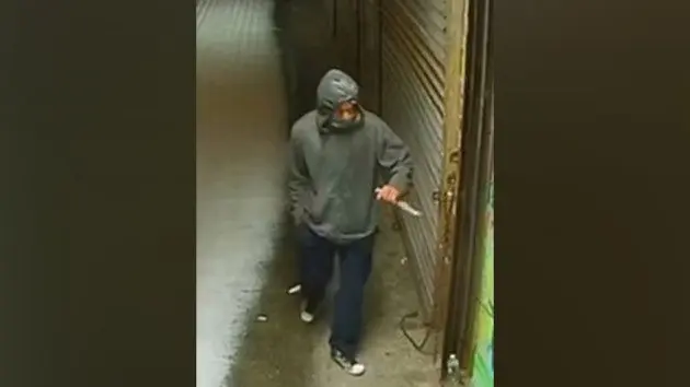 queens-stabbing-suspect-main-ht-jt-240117_1705517605865_hpmain_12x5642873