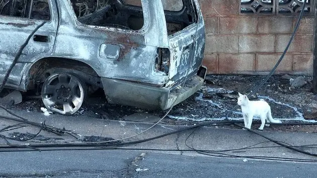 over-one-hundred-killed-in-maui-wildfire-leaving-the-town-of-lahaina-devastated