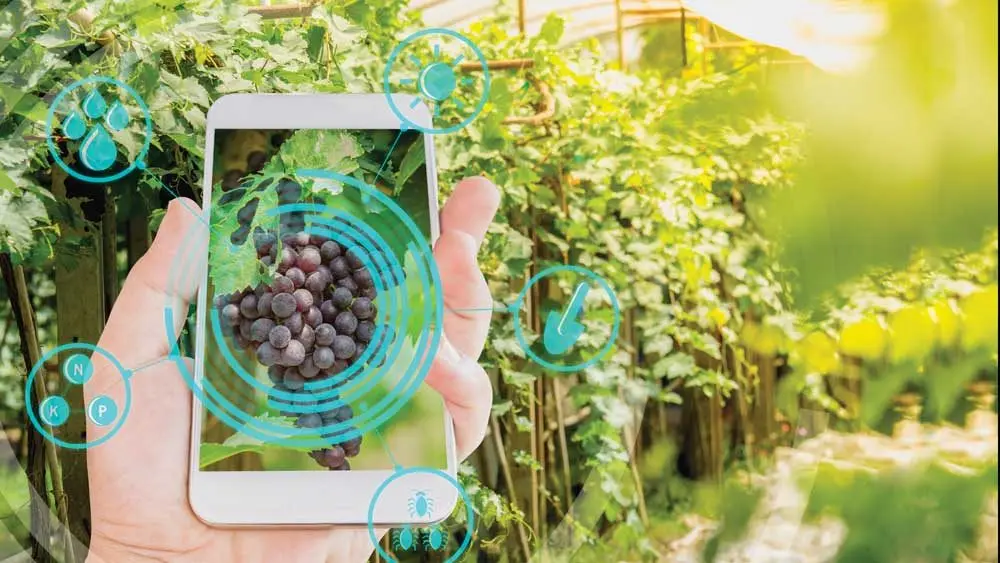 winetech_lead316867