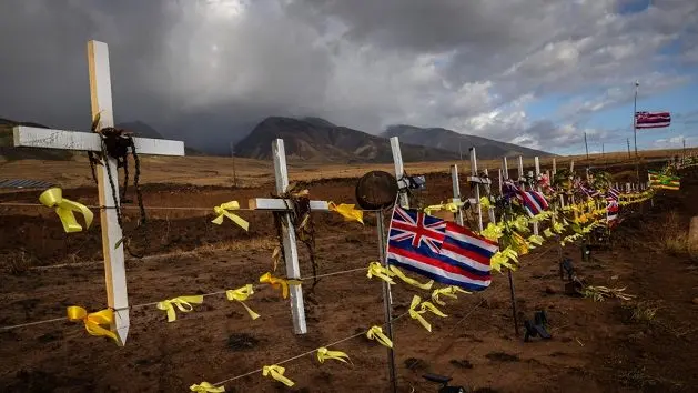 maui-wildfires-2023