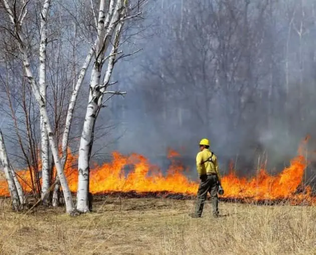 prescribed-controlled-prairie-burn