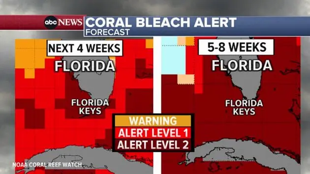 coral-bleach-alert-map-2-abc-bb-230720_1689868774557_hpembed_25x14_992526999