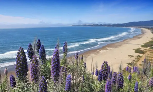 stinson-beach-e1614797541106