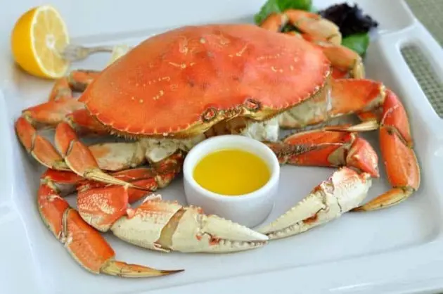 dungenesscrab09-e1610377421383