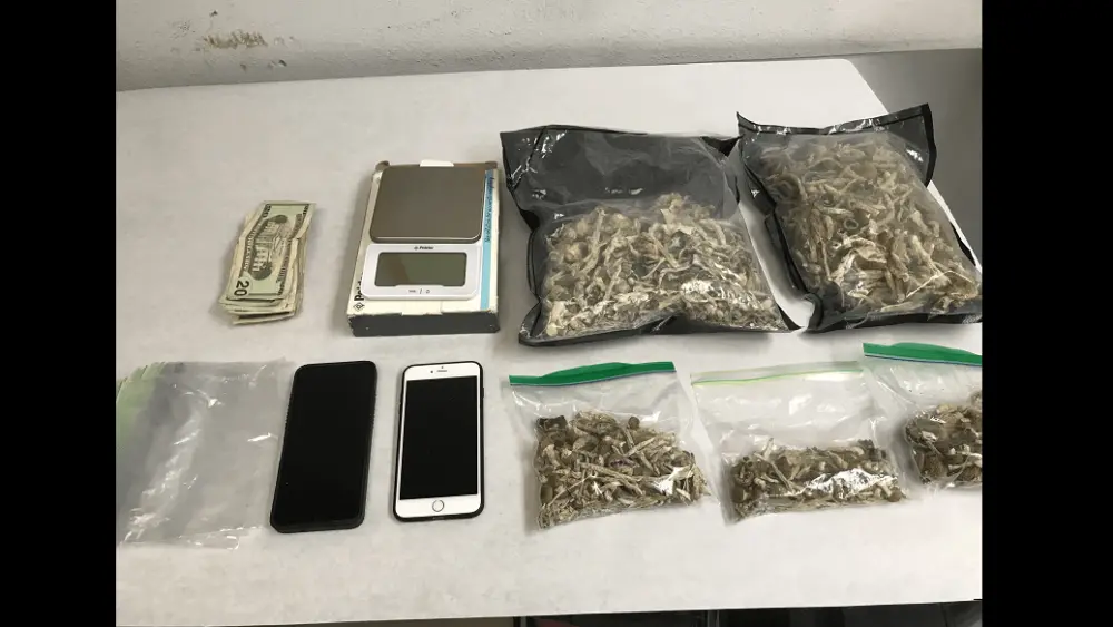 items-allegedly-confiscated-from-michael-morand-petaluma-police