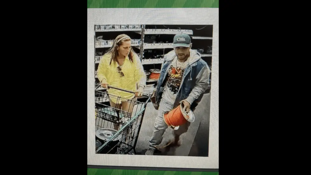 picture-of-friedmans-home-improvement-center-burglars-from-3-14-24-petaluma-police
