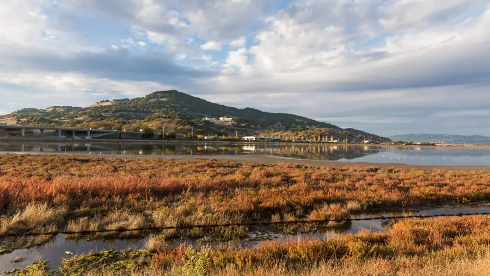 viewofwaterandfromrushcreekopenspacepreserve