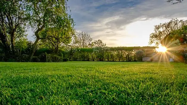 getty_022818_yard