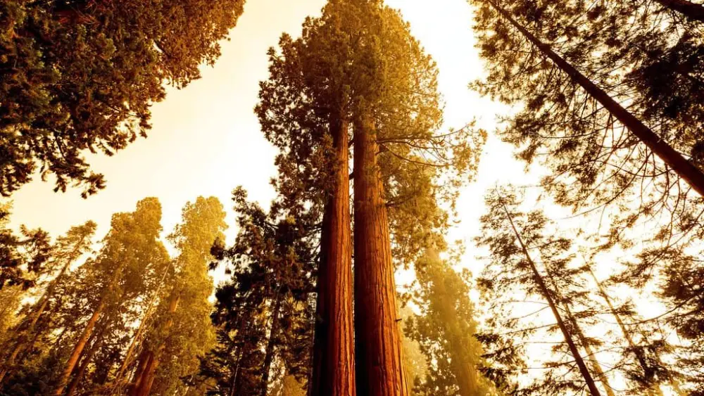 western-wildfires-2