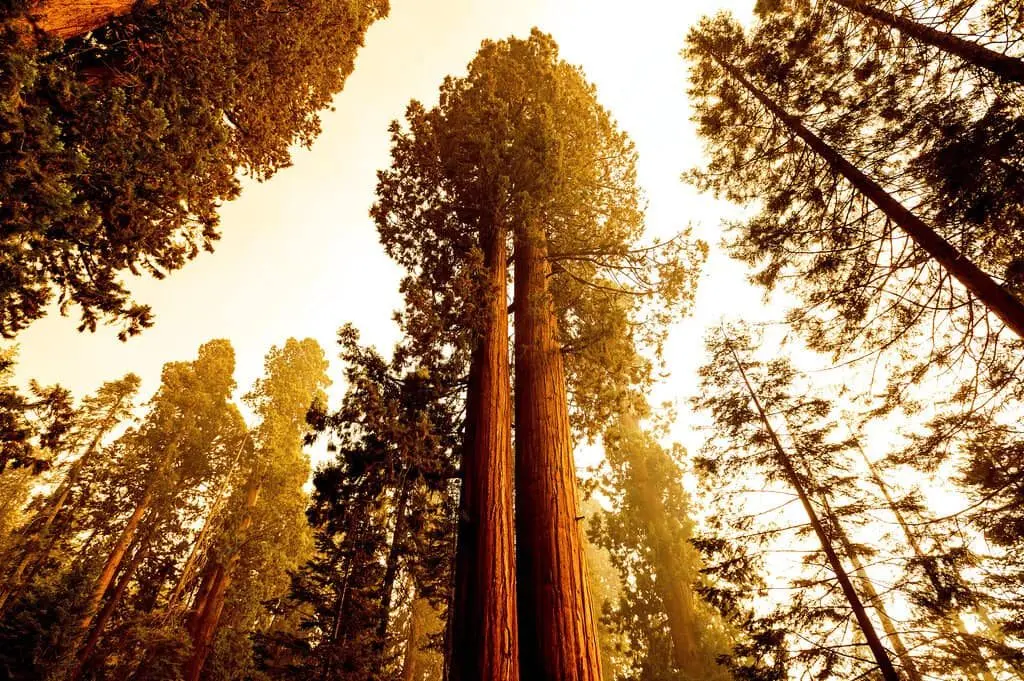 western-wildfires-2