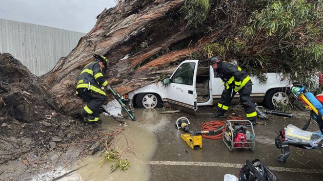 calif-storm-tree-ht-ps-230322_1679495635176_hpmain_16x9_992738319
