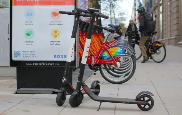 bird-scooters-e1558445895249