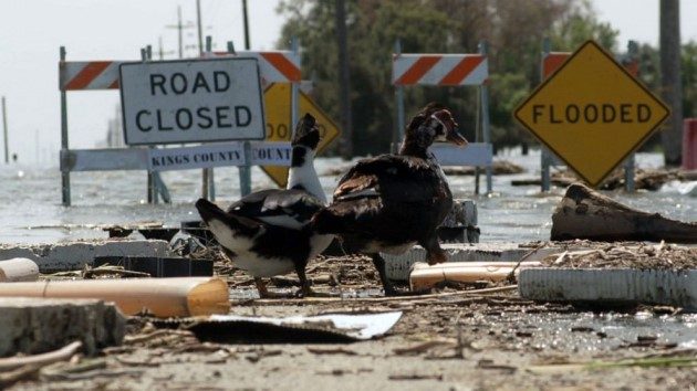 california-flooding-prime-03-abc-jt-230421_1682099675494_hpembed_16x9_99291113