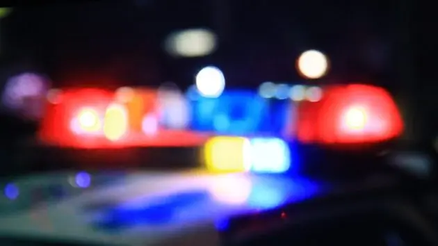 police-car-8