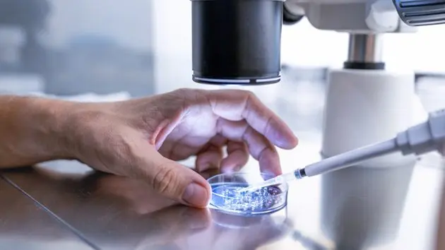 close-up-in-the-fertility-laboratory-the-doctor-preparing-embryo-cultivation-plates