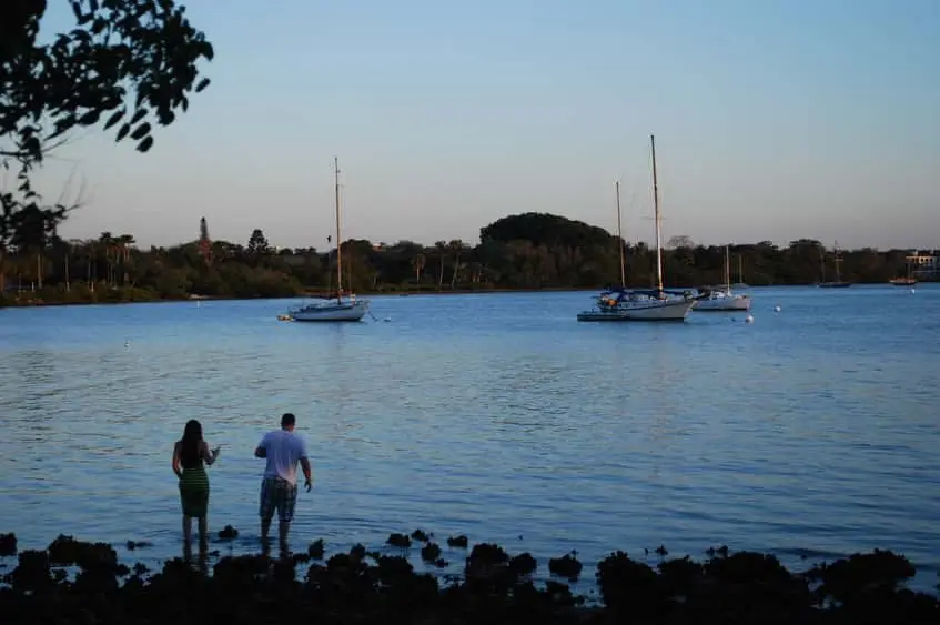 sail-boats