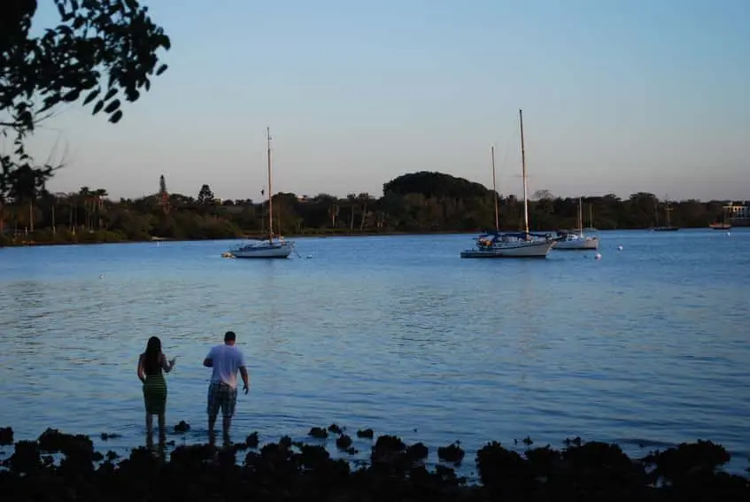 sail-boats