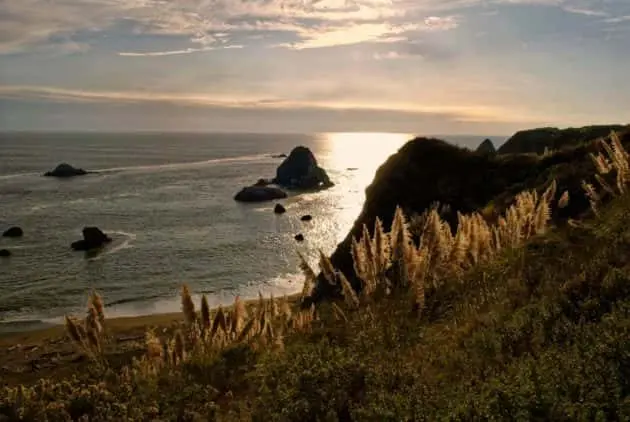 russian-river-coast-e1588946866575