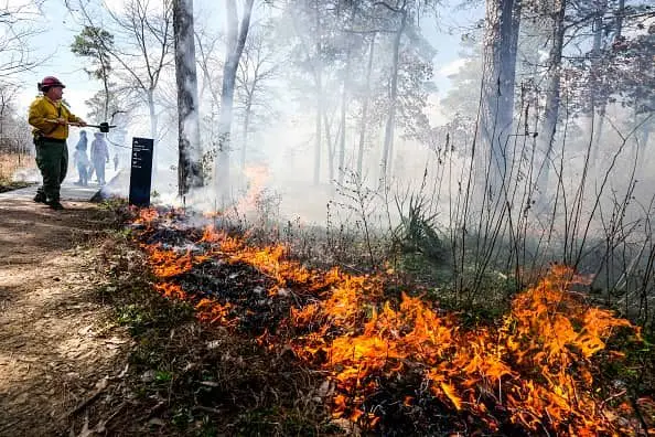arboretum-prescribed-burn