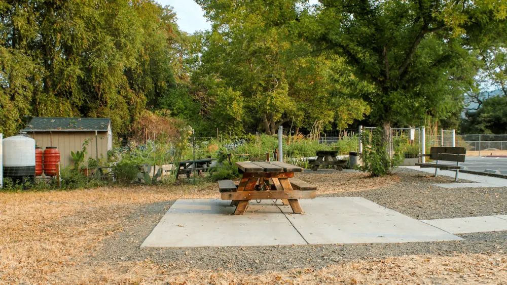 larson-park-sonoma-county-regional-parks
