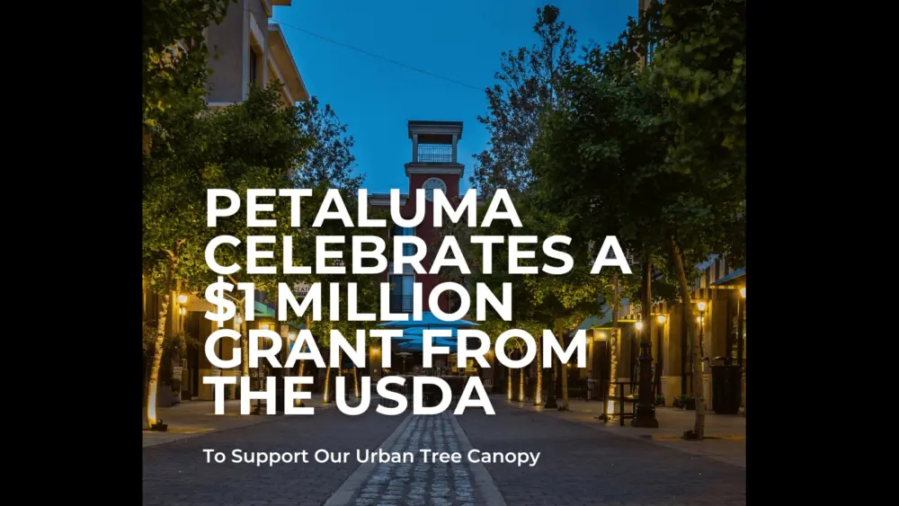 graphic-for-petaluma-urban-tree-canopy-city-of-petaluma