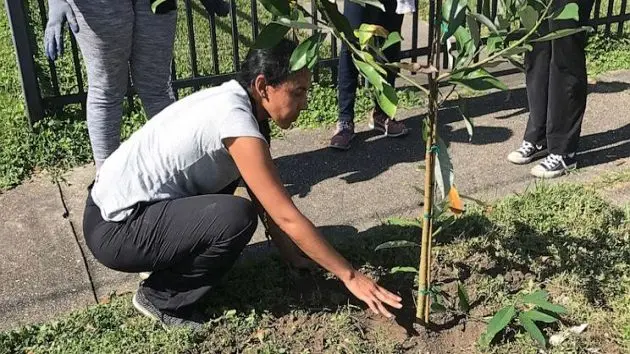 072923_courtesy_reforestation422441