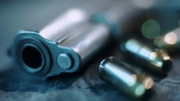 gun-and-bullets-3