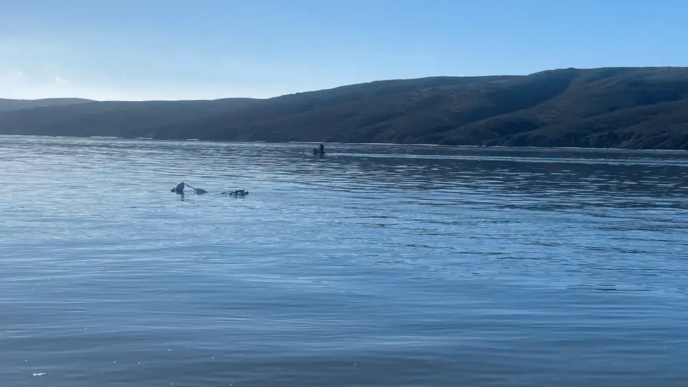 search-for-missing-kayaker-in-tomales-bay-marin-county-sheriff