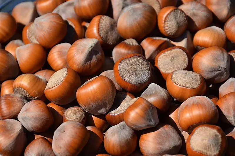 hazelnut_market_