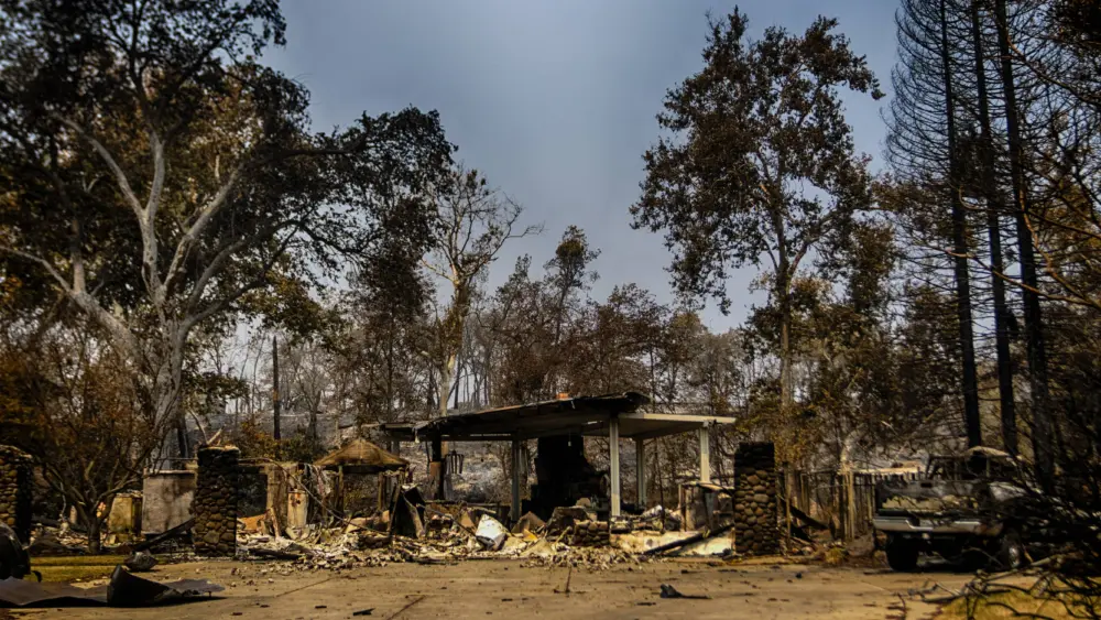 california-animals-behind-fire-line