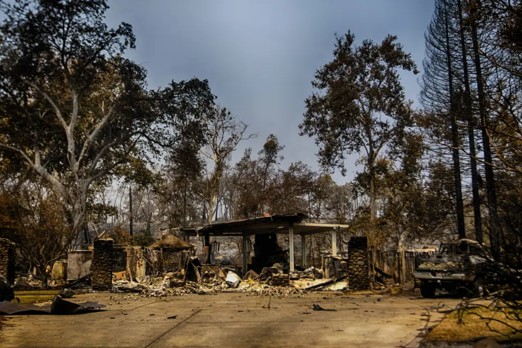 california-animals-behind-fire-line