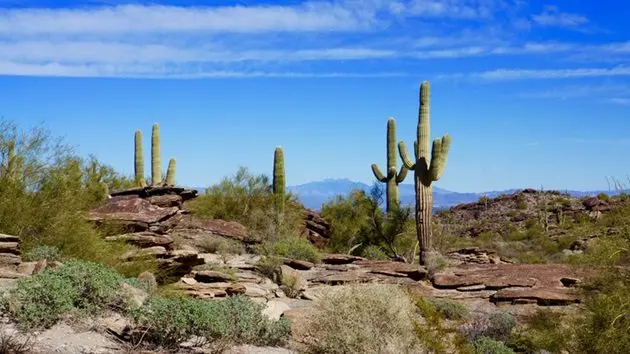 south-mountain-park-phoenix-arizona-usa