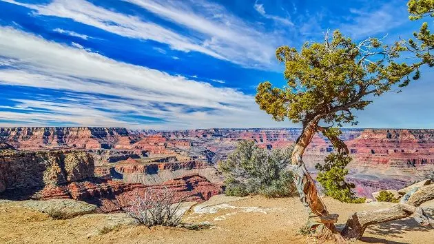 grand-canyon-national-parkarizonausa