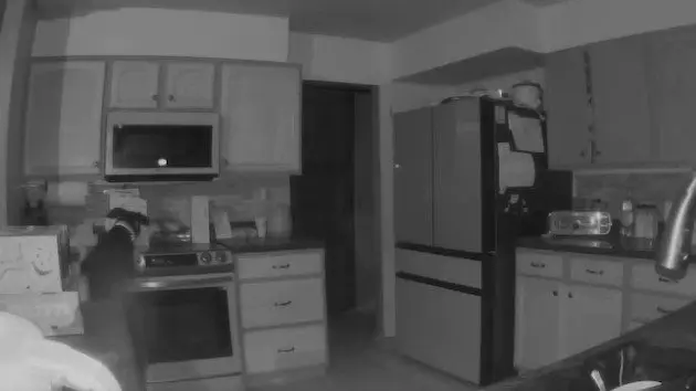 dogfire_1720073350372_hpmain440149