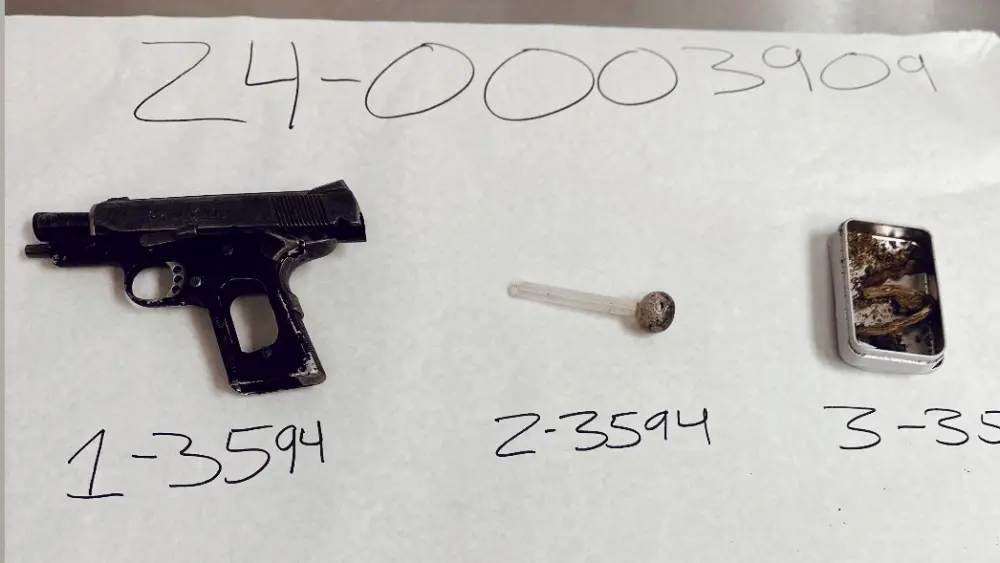 items-confiscated-from-logan-reece-petaluma-police