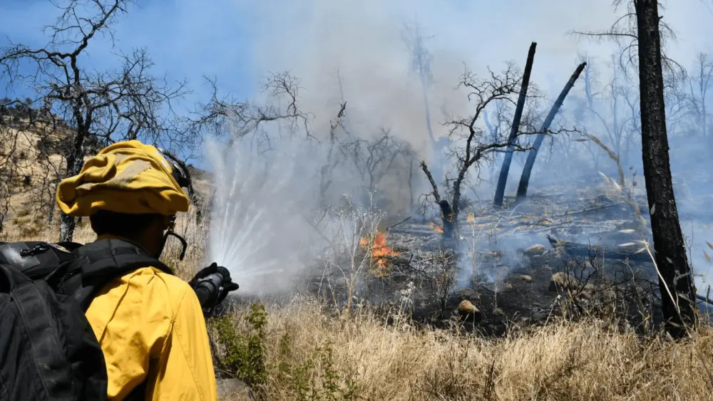 firefighter-fighting-crystal-fire-6-5-24-cal-fire