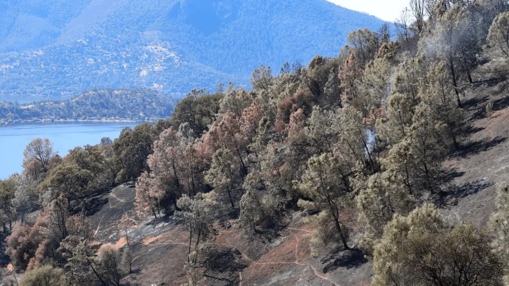 glenhaven-fire-in-lake-county-10-6-24-cal-fire
