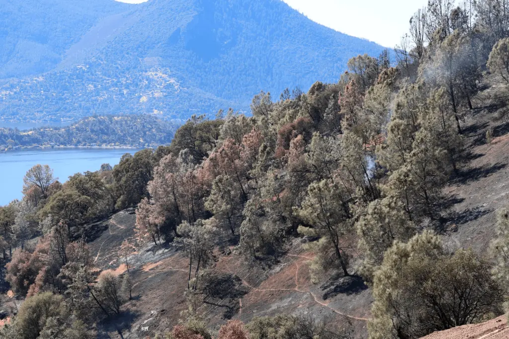 glenhaven-fire-in-lake-county-10-6-24-cal-fire