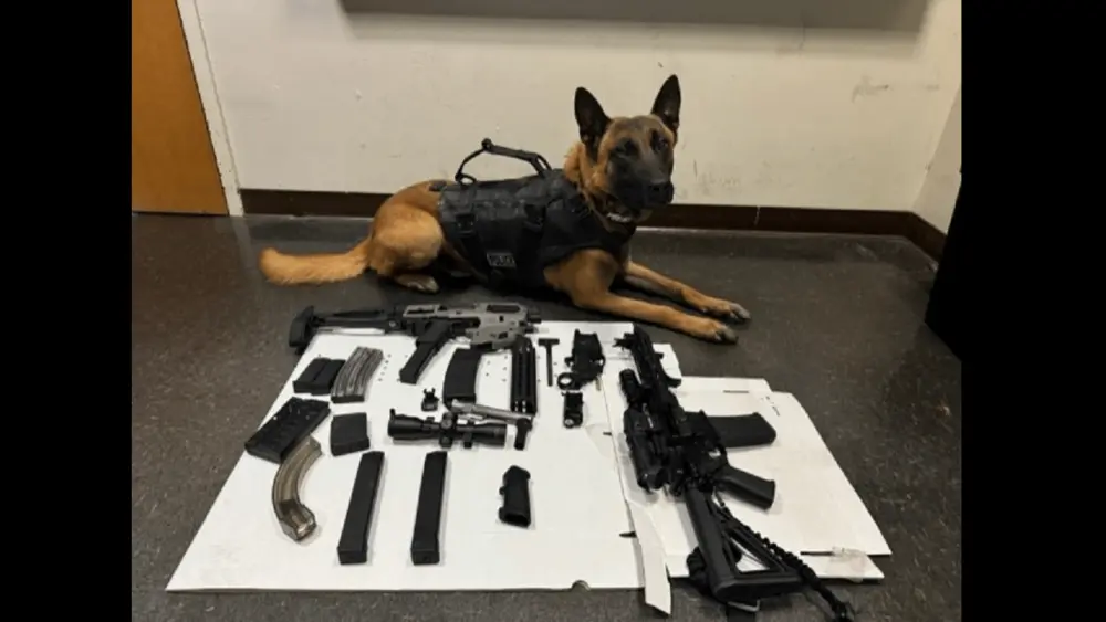 ghost-dog-and-firearms-confiscated-from-uriel-bahena-10-5-24-santa-rosa-police