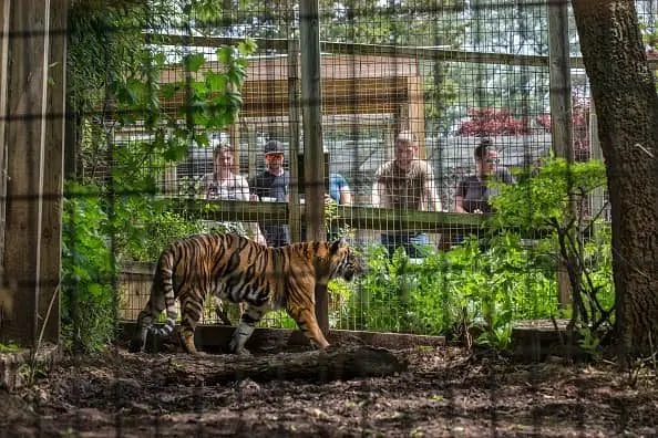 luray-zoo-luray-zoo