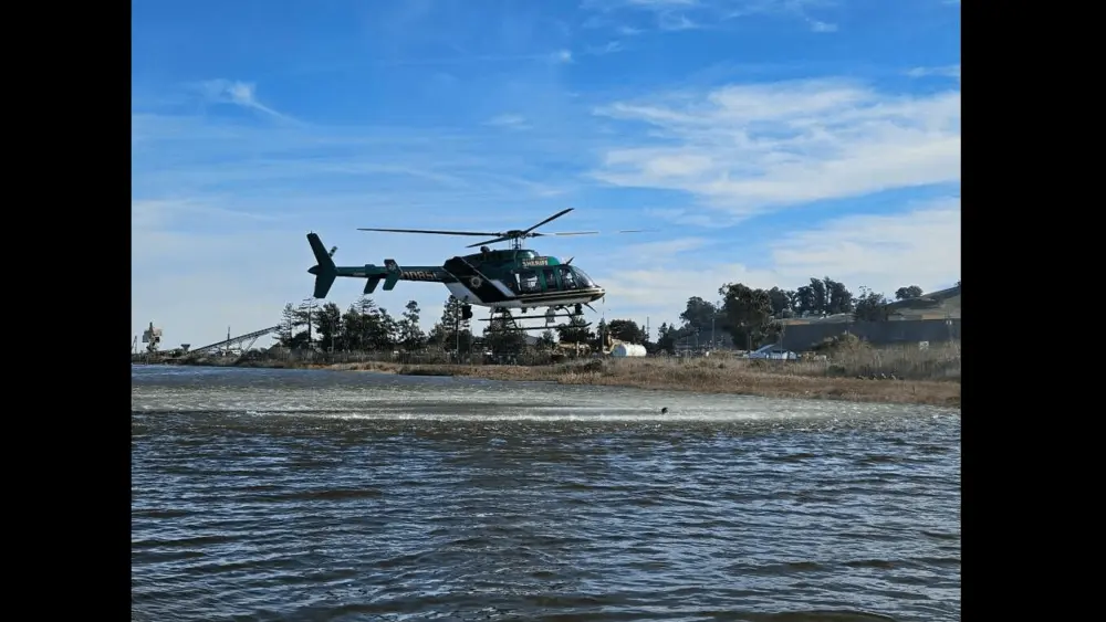 sonoma-county-sheriff-helicopter-over-the-petaluma-river-11-5-24-sonoma-sheriff